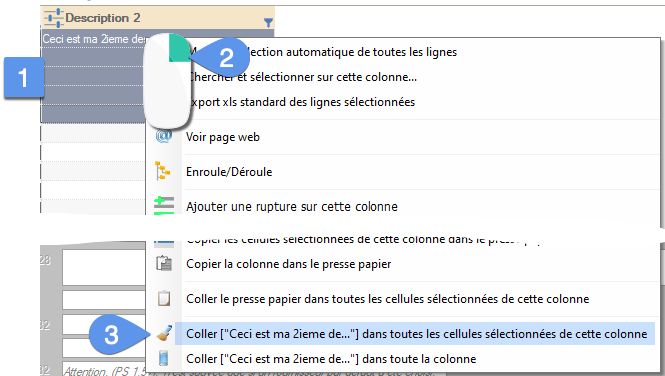 Custom fields, tuto 1 - image 11 - Copy and paste text into the second description by right-clicking